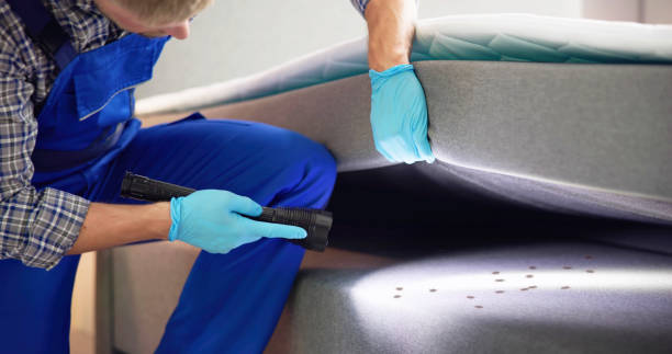 Best Best Pest Control Companies  in Tipton, IA
